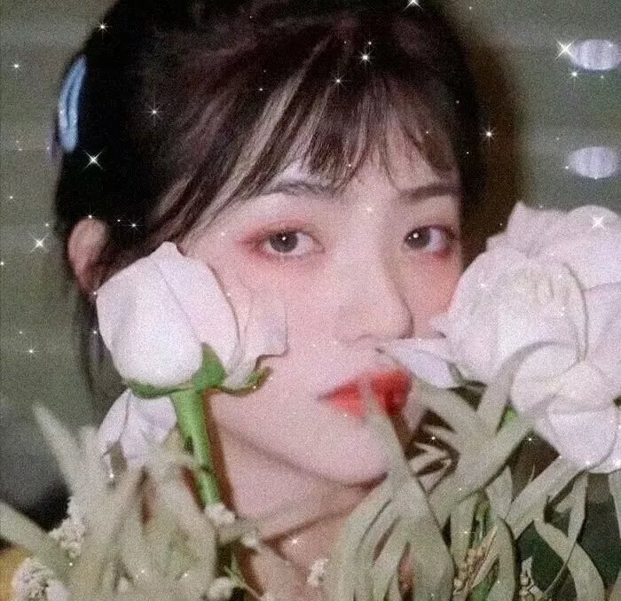 首播集